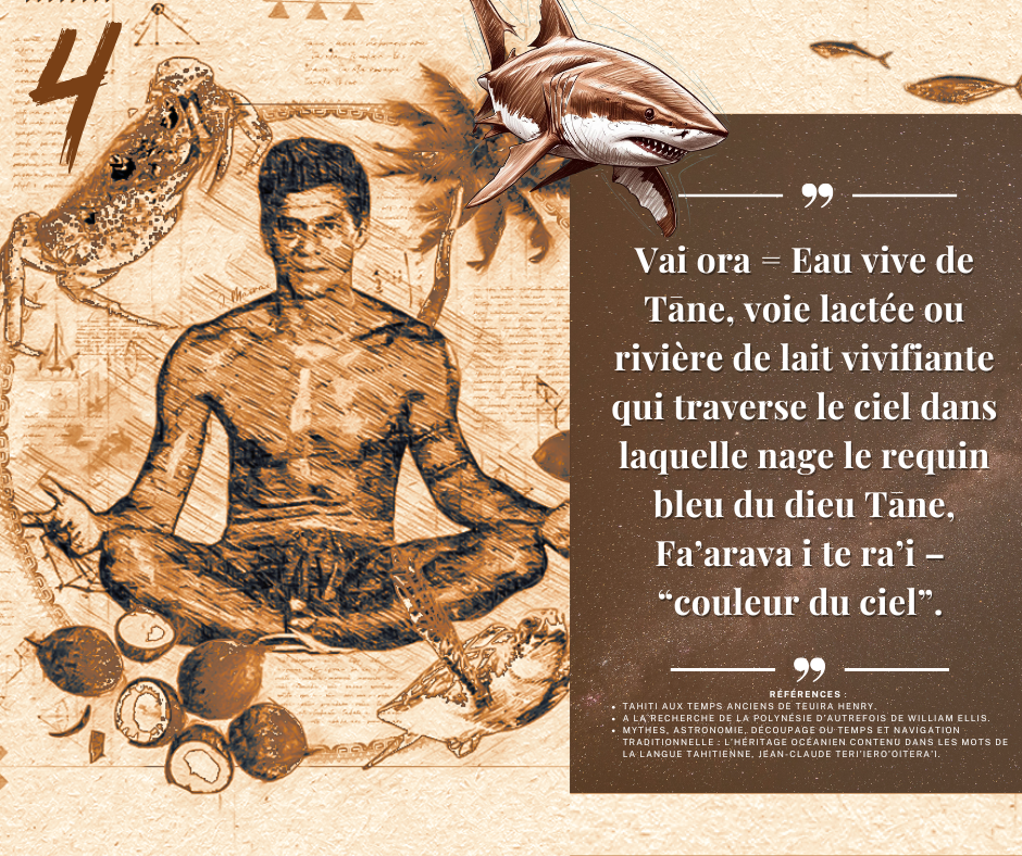 Ta’o ‘auhune – article du 18/11/2024
