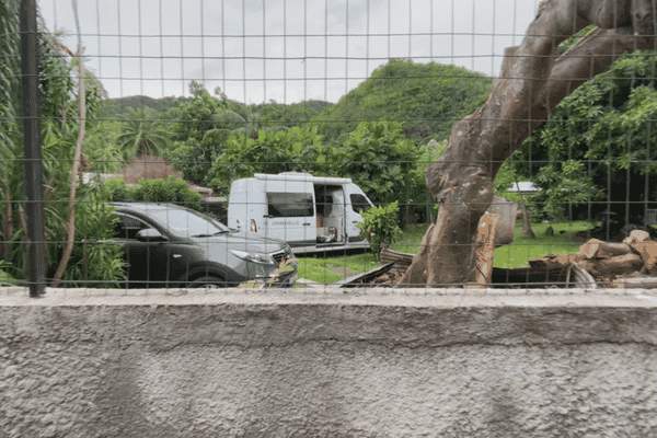 Macabre découverte à Paea : le corps d'une femme retrouvé à son domicile