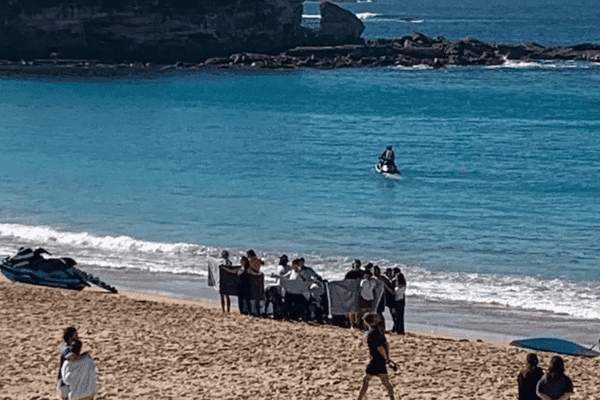 Une nageuse dans un état critique après avoir été mordue par un requin en Australie