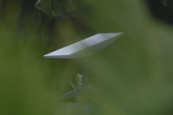 Affaire Starlink : Le gouvernement dénoncé pour son « incompétence » à réguler l’importation des kits