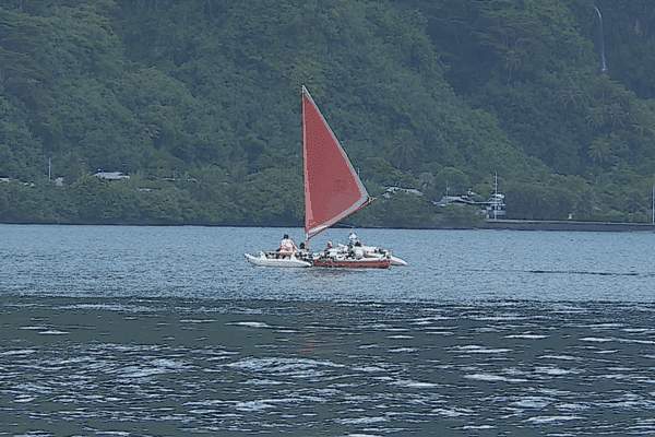 Rapa Atea, la pirogue de la transmission des savoirs ancestraux
