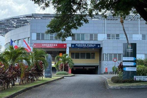 Pénurie de médecins en Polynésie : le Conseil de l'Ordre plaide lui aussi pour une réforme en profondeur