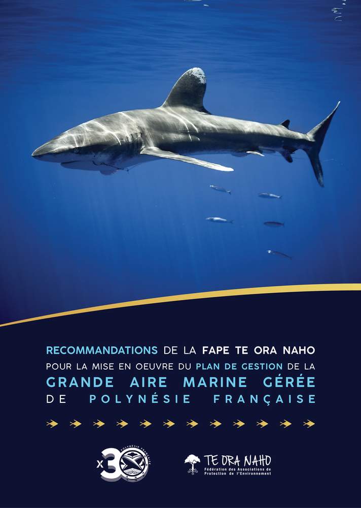 Préservation de notre océan : 30% de protection avant 2030
