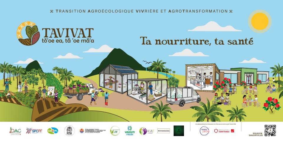 Appel à candidatures – GROUPEMENTs - Projet TAVIVAT