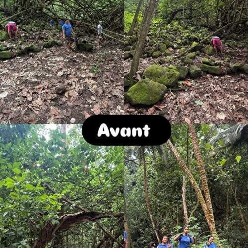 Sortie patrimoine des 5ème à Puamau