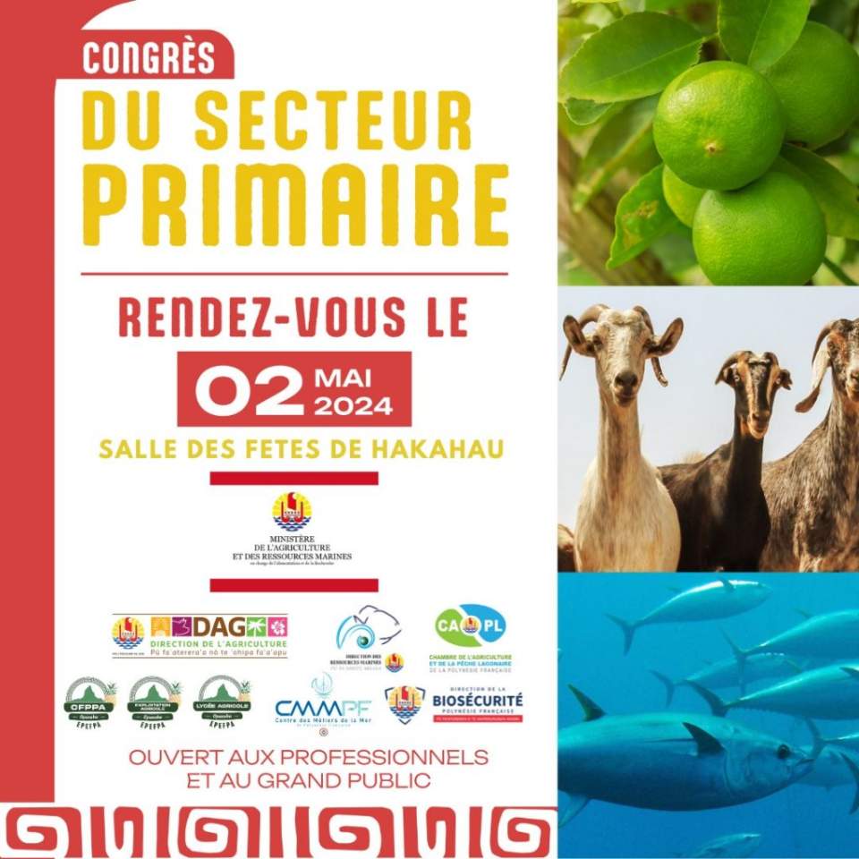 Retrouvez le CMMPF à Ua Pou le 2 mai 2024