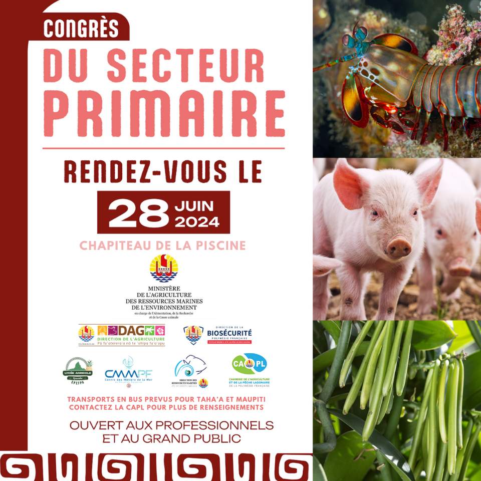 Retrouvez le CMMPF à Raiatea au Congrès du secteur primaire le 28 juin