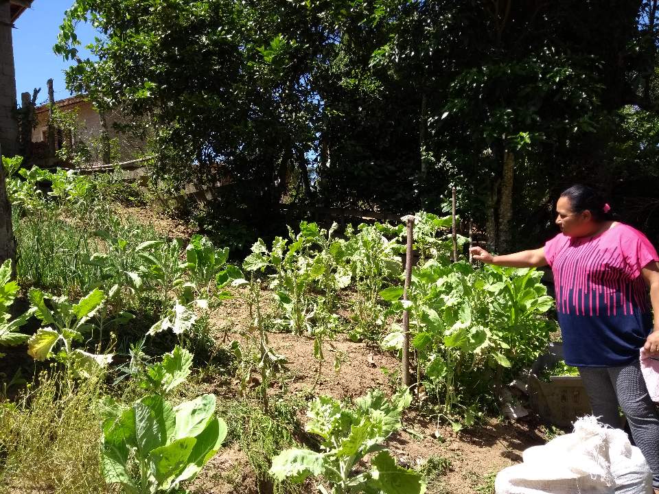 Agroécologie : la résistance souterraine menée par les femmes