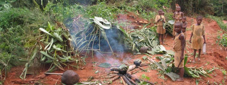 La scolarisation fragilise les enfants chasseurs-cueilleurs
