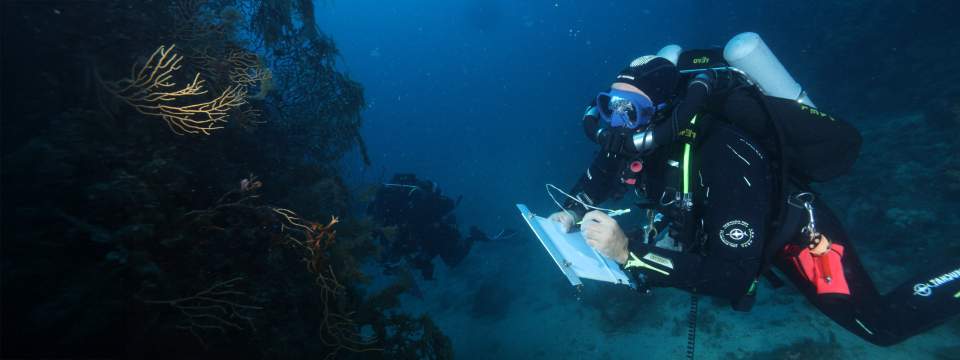 La plongée en recycleur : autonomie et silence au service de la recherche sous-marine