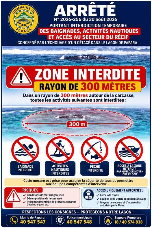 Echouage d’un cétacé sur le récif de Papara