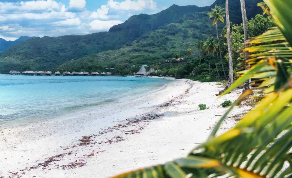 Plage publique de Tema’e : la consultation se précise