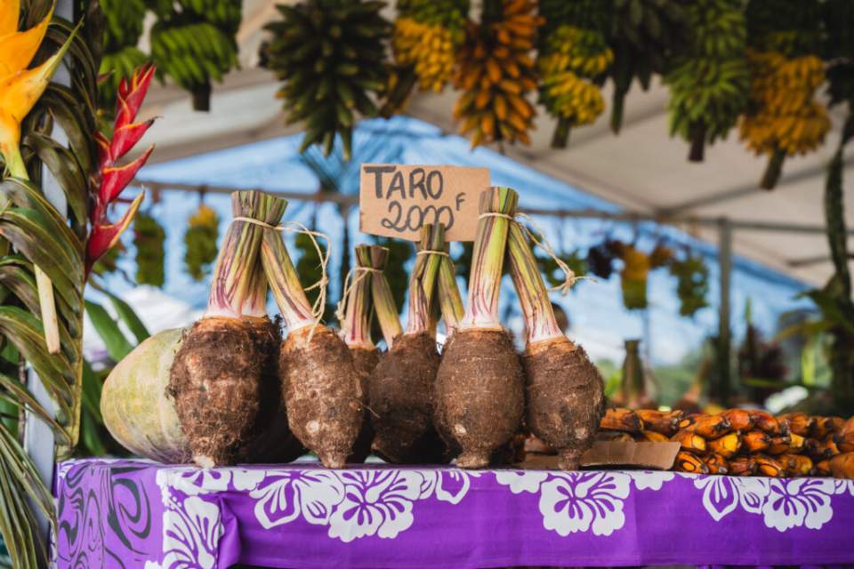 La 40e édition de la Foire agricole ouvre ses portes