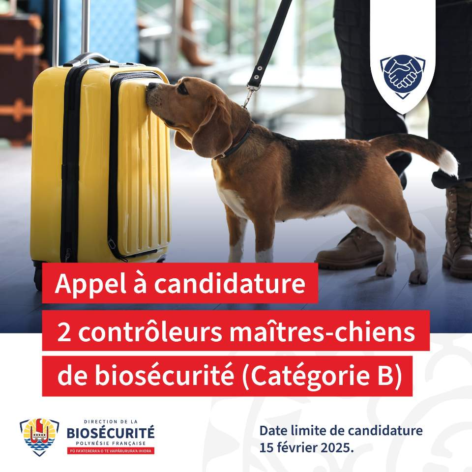 29/10/2024 – Appel à candidature 2 Maîtres-chiens