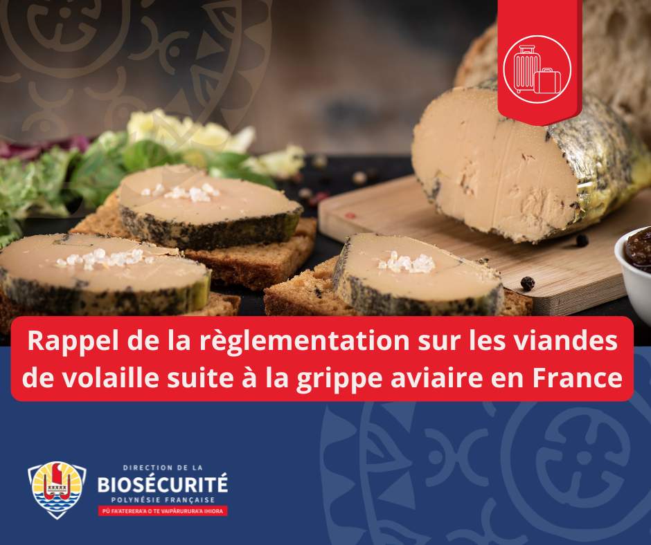 19/12/2025 – Rappel sur l’importation de viandes de volaille en provenance de France