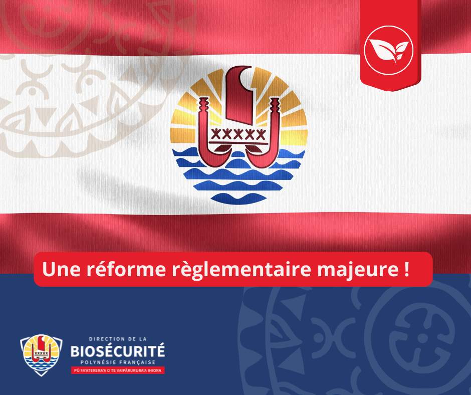 18/03/2026 – Nouvelle règlementation concernant l’importation des végétaux et produits végétaux