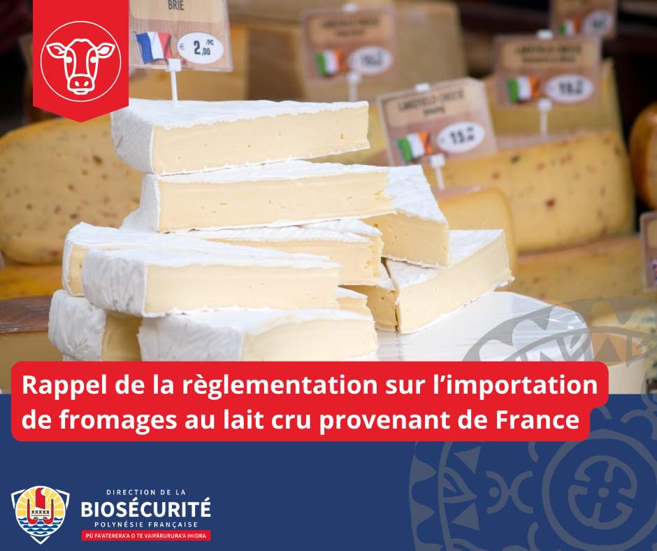 10/07/2026 – Rappel règlementation concernant l’importation des fromages au lait cru provenant de France
