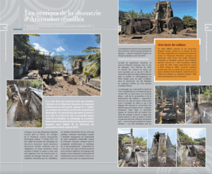 Les vestiges de la Rhumerie d’Atimaono réveillés (Hiro’a n° 214 – Octobre 2025)