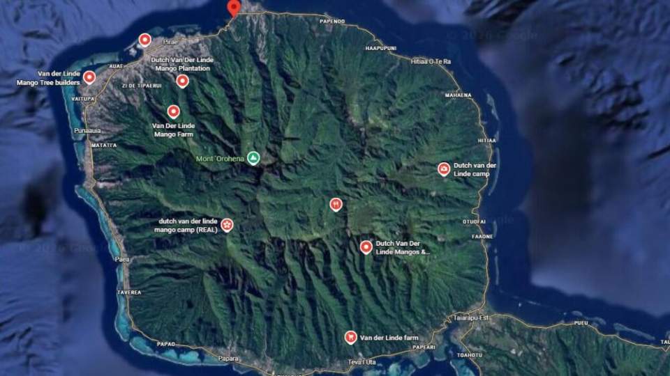 Insolite : un mystérieux champ de mangues répertorié sur Google maps