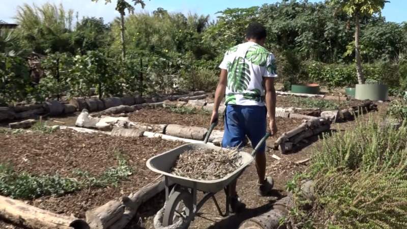 Quotas d’importation de fruits et légumes : imbroglio entre agriculteurs et gouvernement