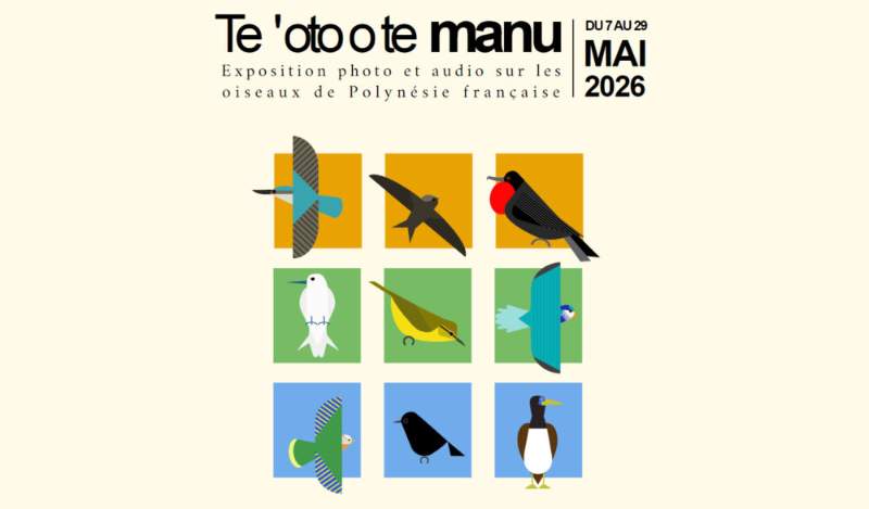 Te’oto o te manu : immersion au cœur des oiseaux de Polynésie du 7 au 29 mai à l’UPF