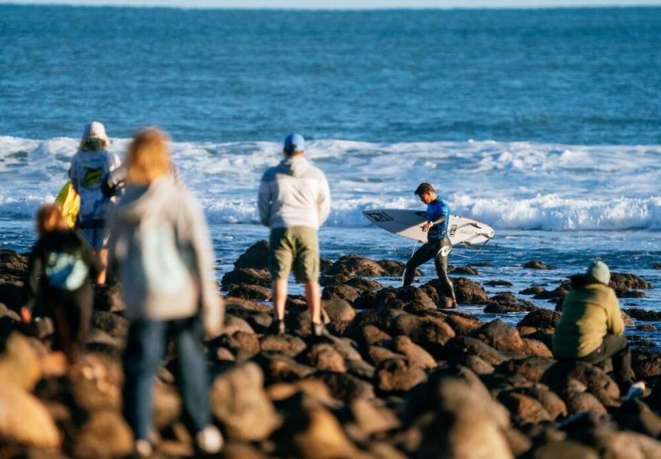 L’étape néo-zélandaise de la WSL suspendue après une attaque d’animal marin