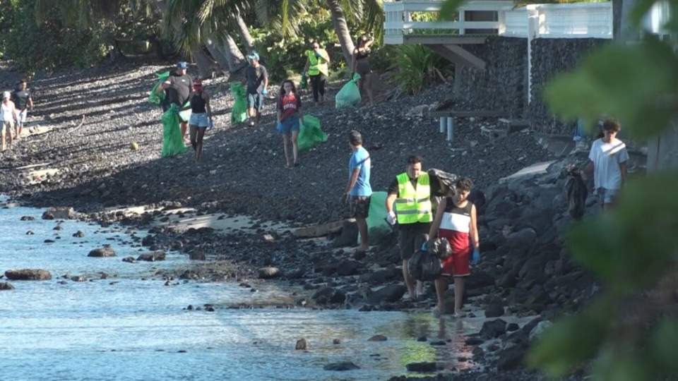 Journée mondiale des océans : bénévoles et associations mobilisés pour nettoyer le littoral