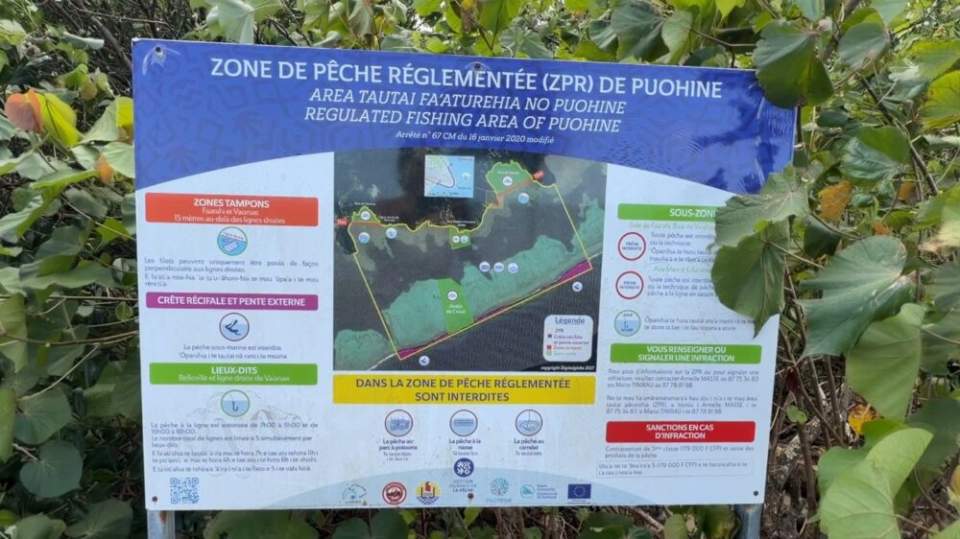 Renouvellement de la ZPR de Puohine : une enquête publique est ouverte