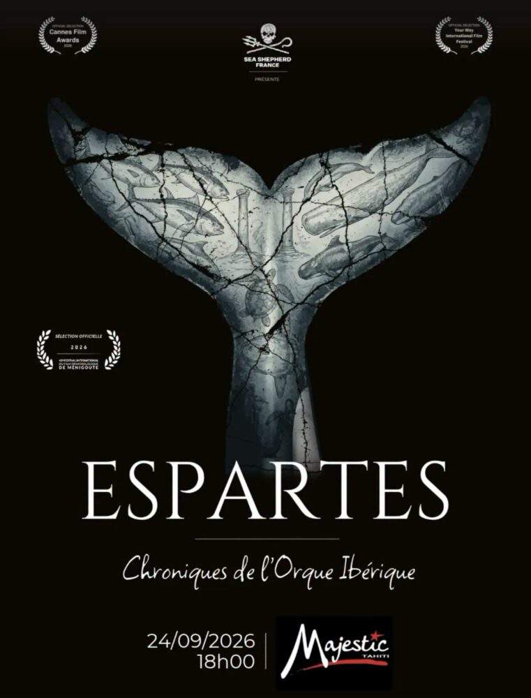 Avec le documentaire « Espartes », les orques font chavirer les idées reçues