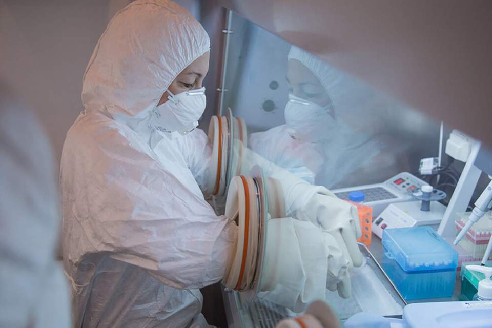 Soupçons de peste en Russie : ce que l’on sait